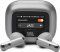 JBL Live Flex 3 True Wireless sluchátka, Silver