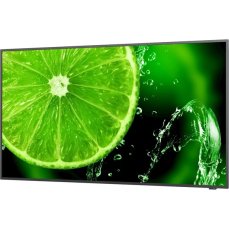 NEC LFD 49" MultiSync E498