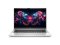 Notebook HP ProBook 630 G8 13,3 palců / Intel Core i5-1135G7 2.40 GHz / 8 GB / 256 GB NVMe SSD / Stříbrná