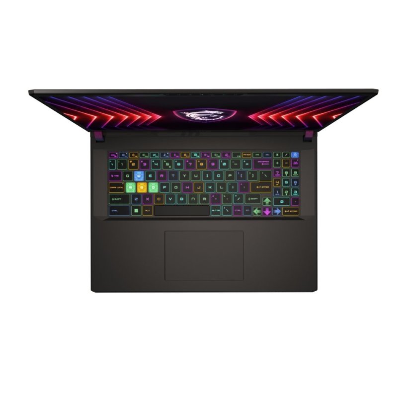 MSI Vector 17 HX A14VHG-1007PL / 17" / Intel Core i9-14900HX 2,20 - 5,80 GHz
 / 32 GB RAM / 1 TB SSD NVMe / NVIDIA GeForce RTX 4080 12 GB