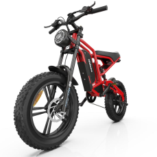 Elektrický bicykel Hidoes B6
