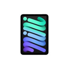 Apple iPad mini Wi-Fi + Cellular 256GB - Space Grey (2024)