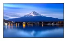 65" NEC P656 čierna / Veľkoformátový displej / IPS / 4K UHD / 700 cd/m2 / 24/7 prevádzka / SDM slot (PNP656)