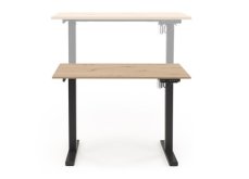 Halmar B53 s funkcí nastavení výšky, dub zlatá / černá (1p=1szt)