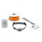 PetSafe® Elektrický ohradník pre psov Classic (BG-PIG19-17478)