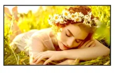 86" LG 86UL5Q-E / Signage displej / UHD / 500 cd/m2 / 24/7 (86UL5Q-E)