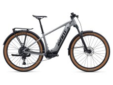 Giant Fathom E+ EX Good Grey 2026 Průměr kol: 29", Velikost rámu: L, Výška jezdce: 176 - 186 cm: SKLADEM