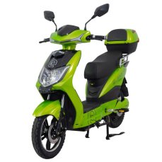 Elektroskútr RACCEWAY® E-FICHTL®, sv.zelený-metalický s baterií 12Ah Výkon (W): 250