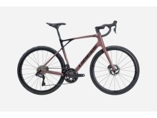 LAPIERRE Pulsium SAT 8.0 Copper Rose - L