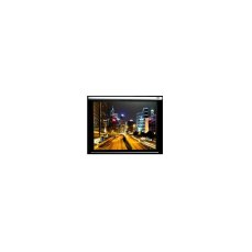 ELITE SCREENS Electric100V