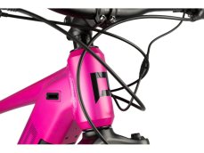 PELLS Thorr Base W Magenta - L