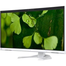 Eizo FlexScan EV3450XC-WT monitor 37,5"