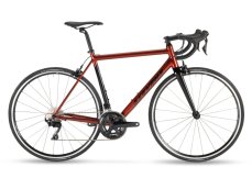 STEVENS Stelvio Red Currant - 50cm