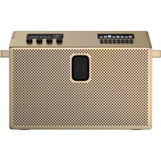 Mondo Speaker Large mosadzný