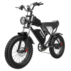 Elektrický bicykel Ridstar Q20