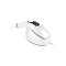 TrueLife BELLE IPL E5