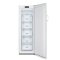 Gorenje FN4172CW