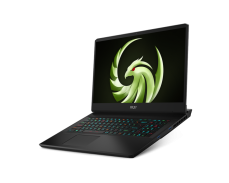 MSI Alpha 17 C7VG-035XPL / NVIDIA GeForce RTX 4070 8 GB