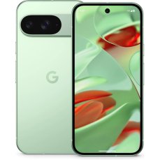 Google Pixel 9 12GB/256GB Wintergreen (Kategorie B)