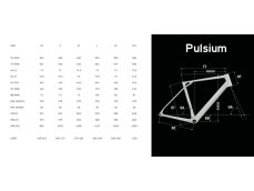 LAPIERRE Pulsium 4.0 Circular Grey Glossy - L