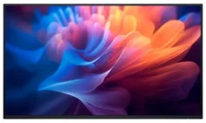 27" DELL P2725H černá / IPS / 1920x1080 / 16:9 / 5ms / 1500:1 / 300cd-m2 / HDMI + DP + VGA / VESA / Pivot / bez stojanu (210-BMGD)