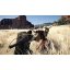 Crimson Desert Collector's Edition (PS5)