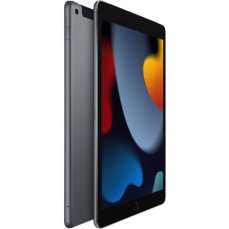 Apple iPad 10,2" 256GB Wi-Fi + Cellular vesmírně šedý (2021)